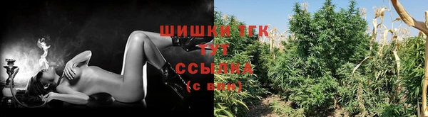 стаф Белокуриха
