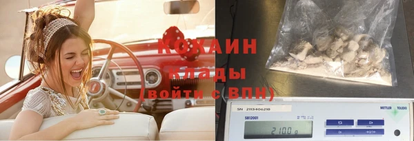 стаф Белокуриха
