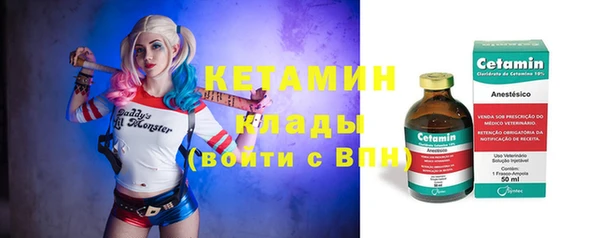 стаф Белокуриха