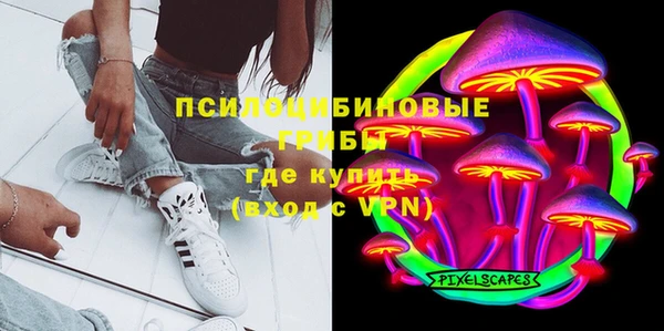 прущая мука Богородицк