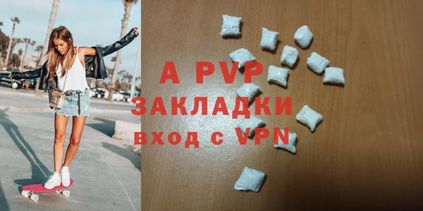 стаф Белокуриха